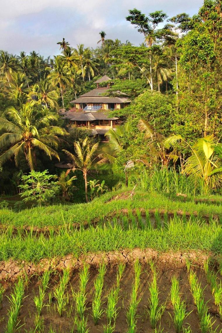 Lumina Residences And Wellness Sanctuary Ubud Kültér fotó
